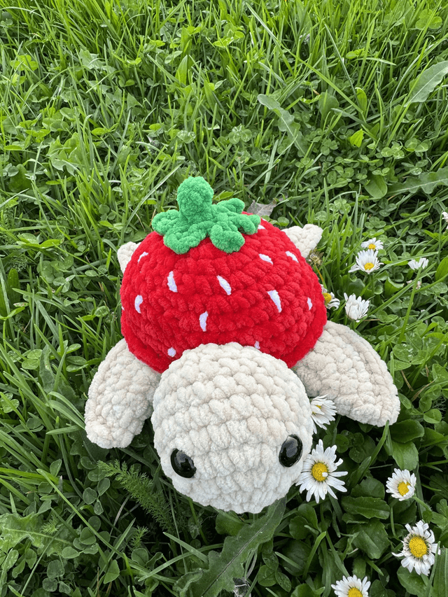Tortue fruits/fleurs