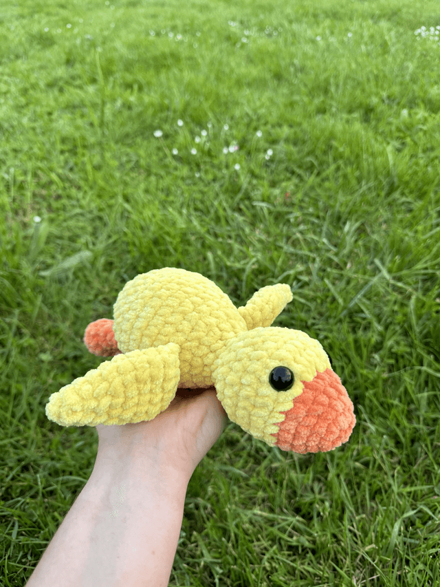 Oiseaux 🦆 🐥🪿🦩