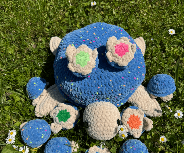 Memory tortue