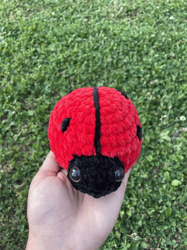 Coccinelle