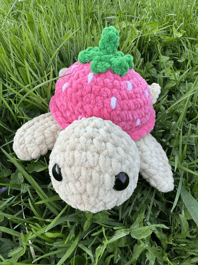 Tortue fruits/fleurs