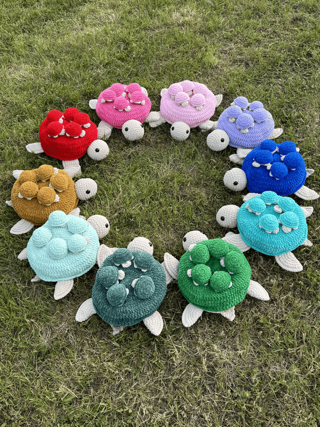 Memory tortue