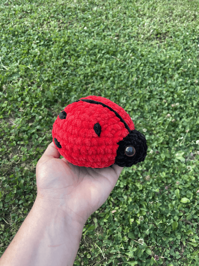 Coccinelle