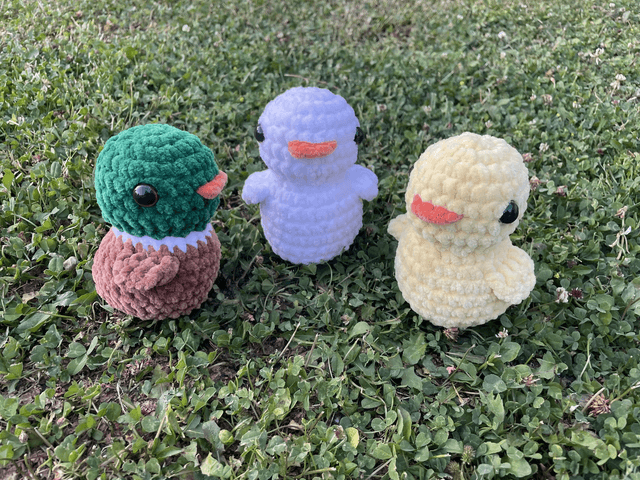 Canards 🦆🐥🪿